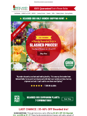 Holland Bulb Farms - HARDY CLASSICS 🚨 35-60% OFF Reblooming Iris!