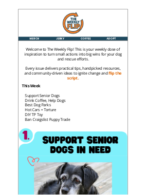 The Dog Bakery - 🔄 The Weekly Flip