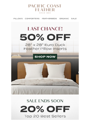 Pacific Coast Bedding - Last Chance! 50% OFF Euro Pillows Ends Tonight