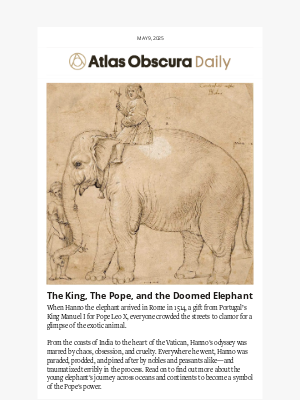 Atlas Obscura - The elephant that shook the Vatican