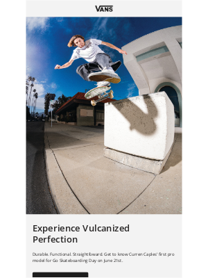 Vans - ALL YOU NEED IN A SKATE SHOE