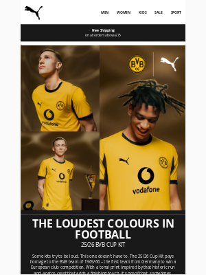 PUMA (United Kingdom) - 25/26 BVB Cup Kit