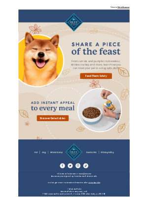 Blue Buffalo - Feast with your dog this Thanksgiving 🍗