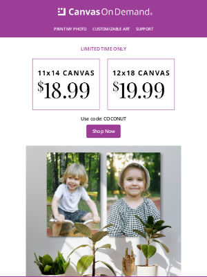 Canvas On Demand - Deals on Demand Ends Tomorrow