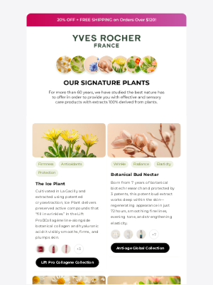 Yves Rocher - 🌻 Discover the plants behind your most beautiful skin 🌻