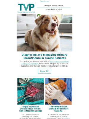 NAVC - Canine Urinary Incontinence: Best Practices for Management