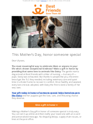Best Friends Animal Society - Make it a memorable, meaningful Mother's Day