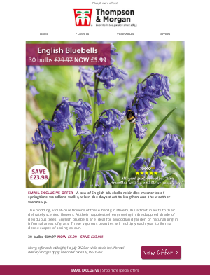 Thompson & Morgan (United Kingdom) - 30 English Bluebells NOW UNDER £6!