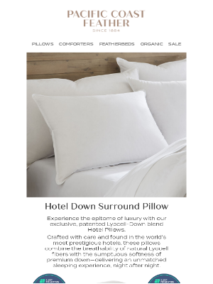 Pacific Coast Bedding - This Award-Winning Pillow is Waiting For You