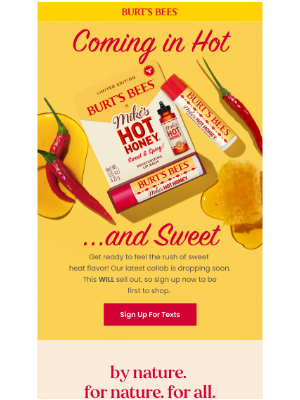 Burt's Bees - Our first sweet & spicy collab is here!
