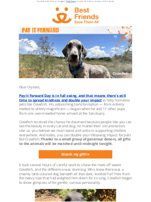 Best Friends Animal Society - Ulysses, don't miss this Pay It Forward Day match