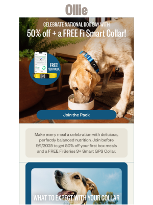 Ollie - Get 50% off + a FREE Fi Smart Collar!