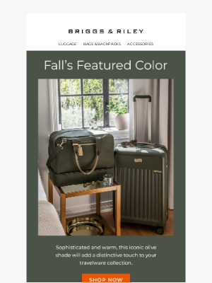 Briggs & Riley - Every Olive Style You Need