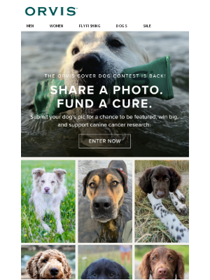 Orvis - Ready to enter The Orvis Cover Dog Contest?