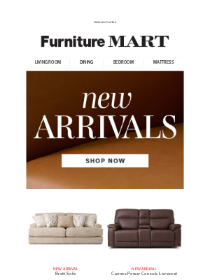 The Furniture Mart - New Arrivals Just in Time for Independence Day!