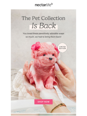 Nectar Bath Treats - Back in Stock: The Pet Collection