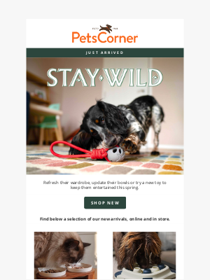Pets Corner (United Kingdom) - New Arrivals to Spoil Your Furry Friends!