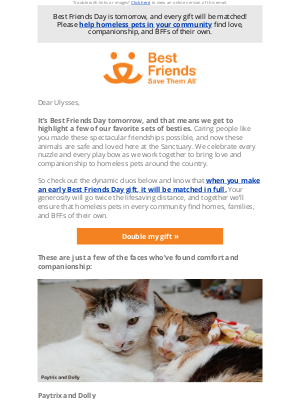 Best Friends Animal Society - It's almost Best Friends Day: All gifts MATCHED
