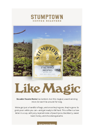 Stumptown Coffee Roasters - Extremely lovely, extremely limited