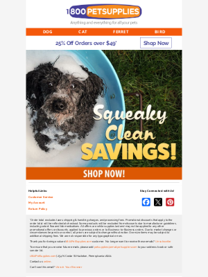 dog - Unwind for the Weekend with 25% Off Your Order!