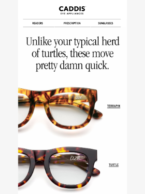 Caddis - The turtle collection