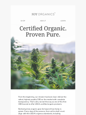 Joy Organics - Why We're the #1 Organic CBD Brand in America 🌱