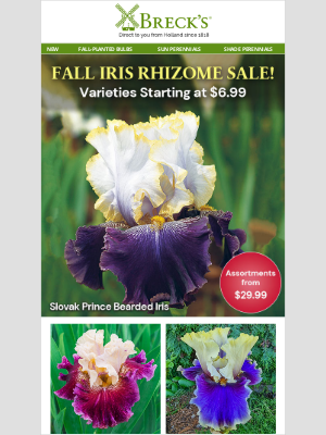 Breck’s Bulbs - Iris Bonanza! Varieties Priced as Low as $6.99