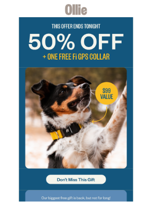 Ollie - ⚠️Don’t lose this FREE Fi GPS Collar⚠️