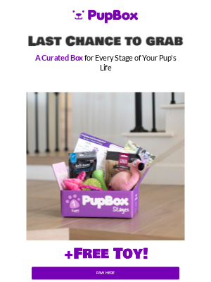 PupBox - Last Chance: Grab Your PupBox + a Free Toy 🐶🎁