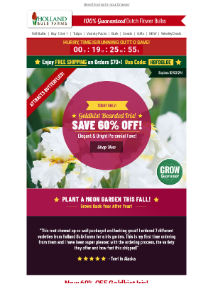 Holland Bulb Farms - 60% OFF Goldkist Bearded Iris 🚩 TODAY ONLY!