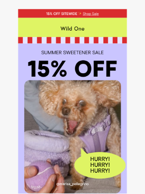 Wild One - 15% OFF Sitewide 🌟