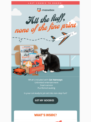 meowbox - Final call for the Cat Hairways box ✈️