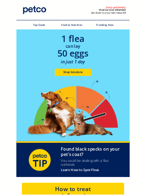 Petco - Is your dog protected from fleas & ticks? 🦟