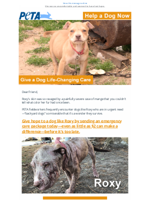 PETA - Neglected dogs like Roxy need your help