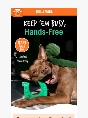 BULLYMAKE - Busy Day? We’ll Tire ’Em Out for You 😏