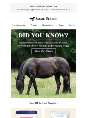 SmartPak Equine - Fall Grass Risks & What To Do