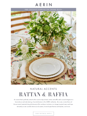 AERIN LLC - Rattan & Raffia Home Accents