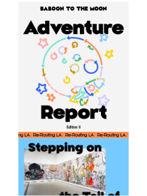 BABOON - ADVENTURE REPORT EDITION II