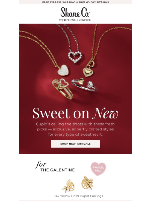 Shane Co. - See what’s new for Valentine’s Day 💘