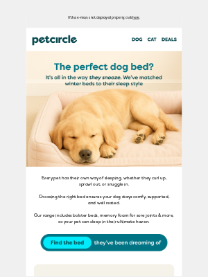 Cold paws? Find your pet's perfect bed