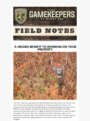Related Email 2