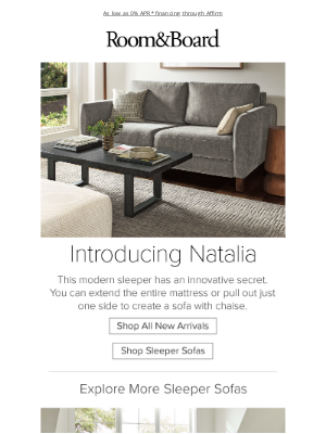 Room & Board - New! A sleeper sofa your guests will love