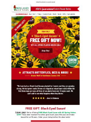 Holland Bulb Farms - FREE GIFT 🎁 Black Eyed Susan w/Spring Orders $39+!