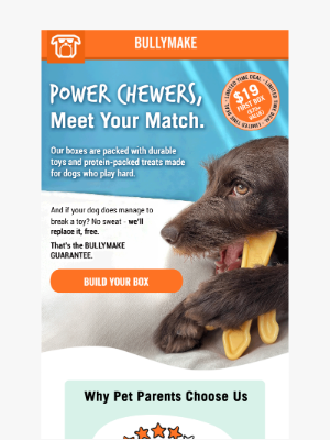 BULLYMAKE - Tough Toys. Tasty Treats. $19 First Box. 🐾🦴