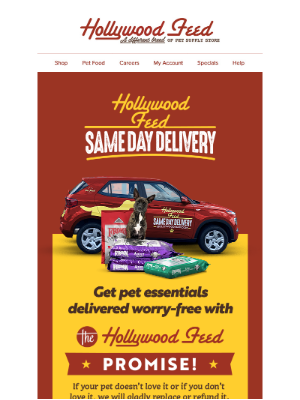 Hollywood Feed - Order pet essentials to your door with Same Day Delivery! 🚗