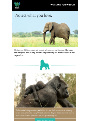 Wildlife Conservation Society - Support Global Conservation in 5 Minutes or Less