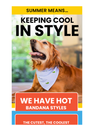 Hot Dog Collars - Keep Summer Cute and Cool 😎