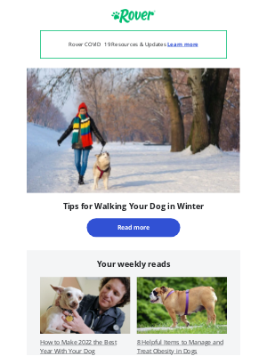 DogVacay - How to make walking your dog in winter better