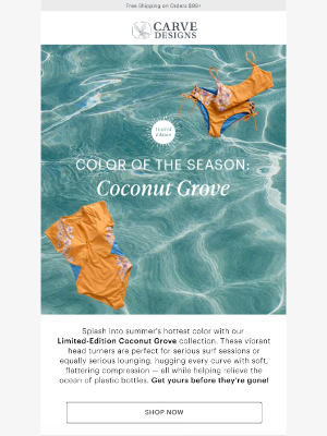Carve Designs - The color of the season 🧡