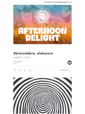 Whalebone - Abracadabra, alakazam ☀️